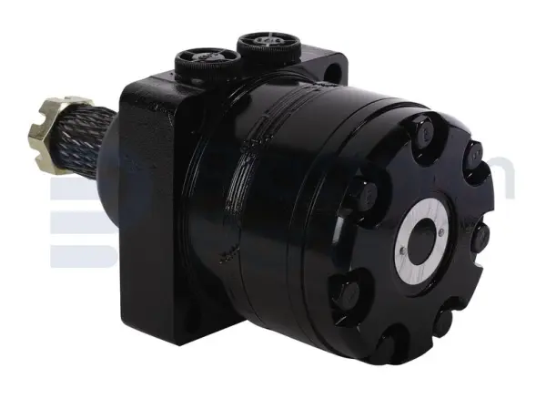 Drive motor, hydraulic