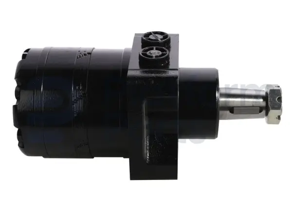 Drive motor, hydraulic