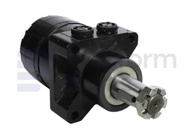 Drive motor, hydraulic