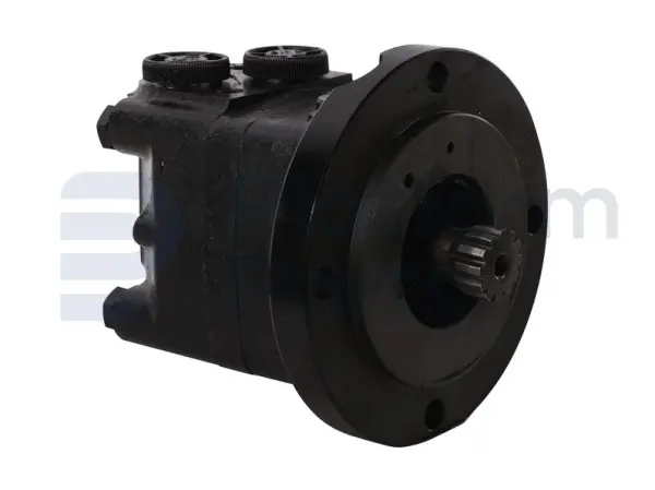 Drive motor, hydraulic