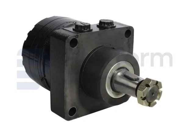 Drive motor, hydraulic