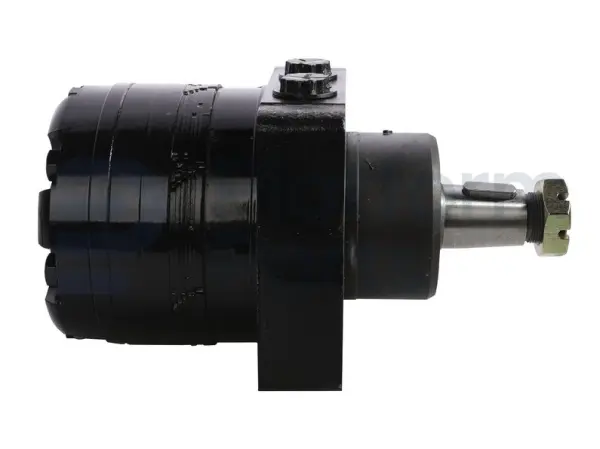 Drive motor, hydraulic