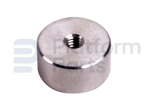 Magnet