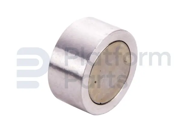 Magnet