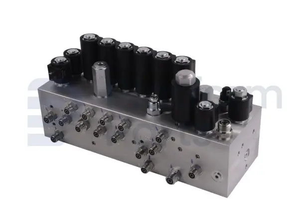 Manifold