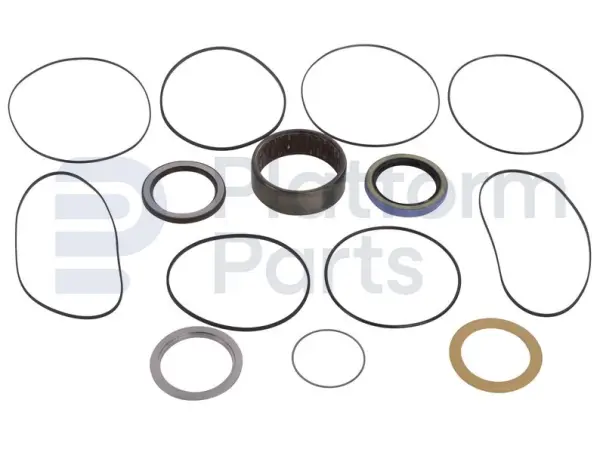 Seal kit, RC series drive motor