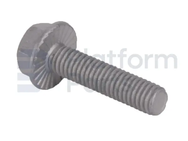 Screw