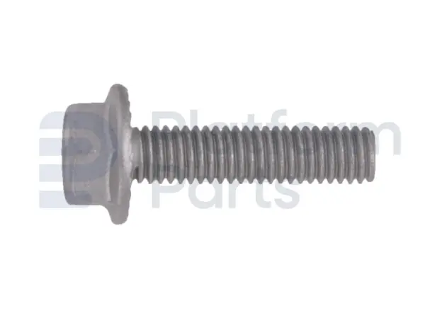Screw