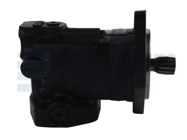 Drive motor, hydraulic
