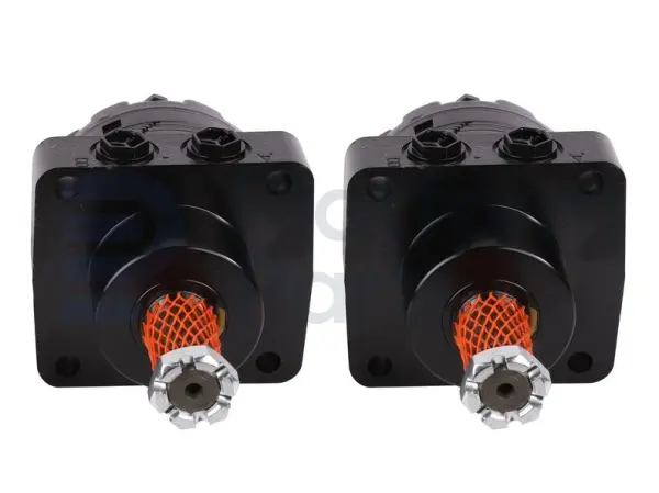 Drive motor, hydraulic