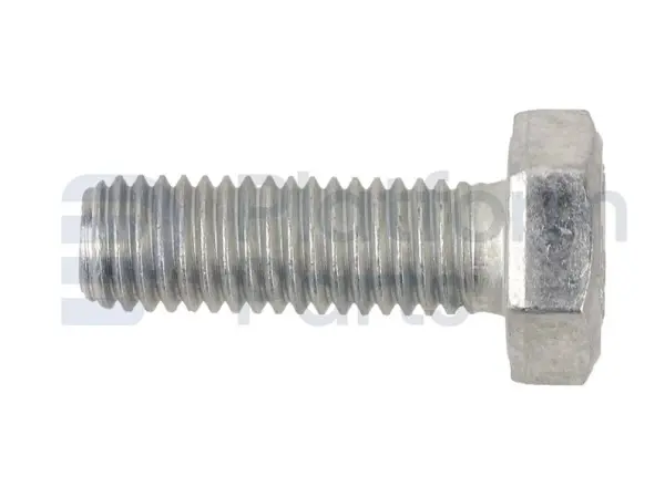 Screw