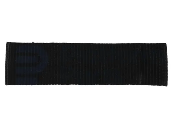 Door strap