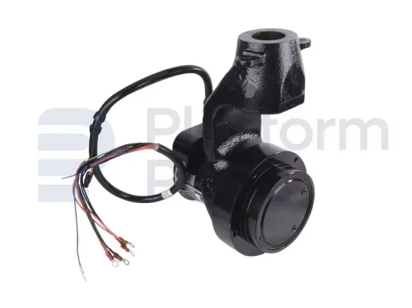 Drive motor, electric