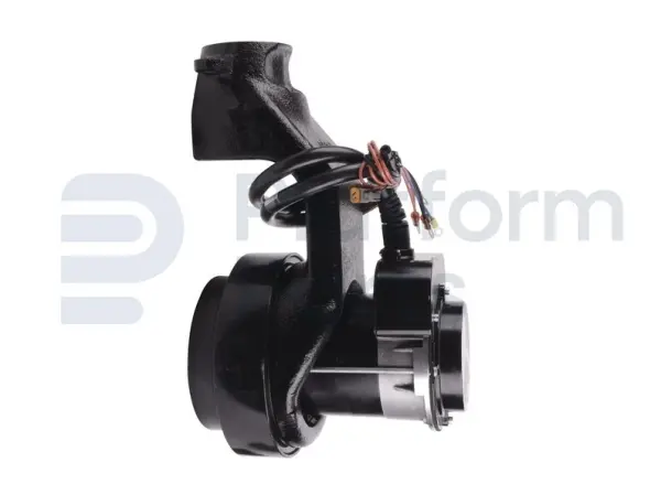 Drive motor, electric