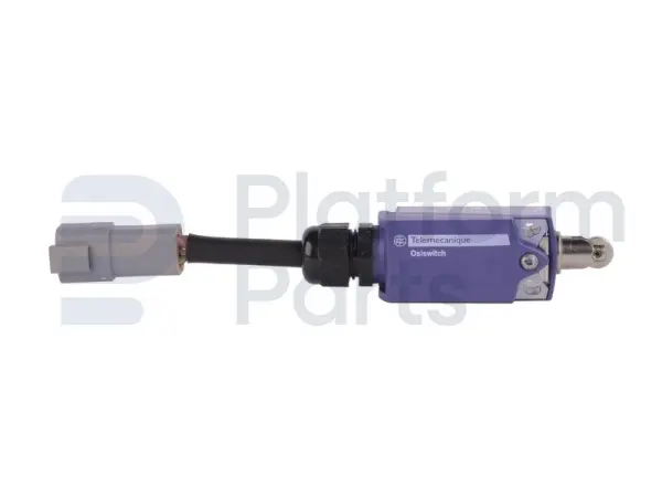 Limit switch