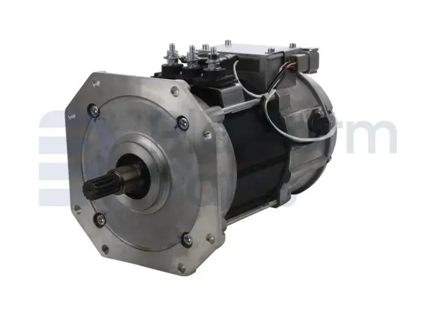 Drive motor, electric