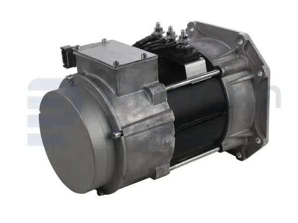 Drive motor, electric