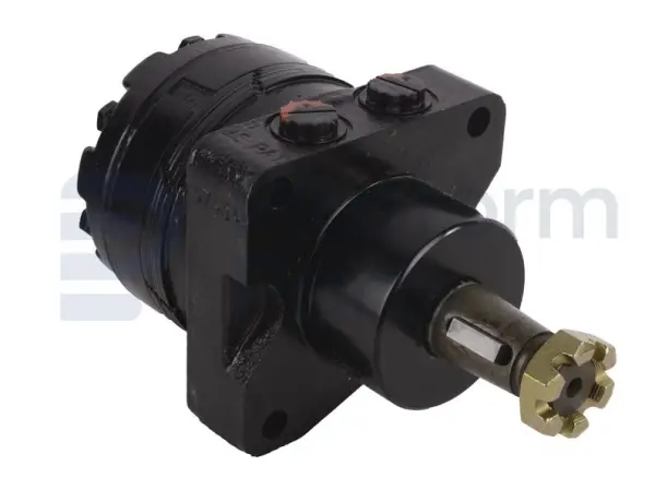 Drive motor, hydraulic