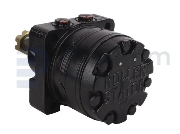 Drive motor, hydraulic