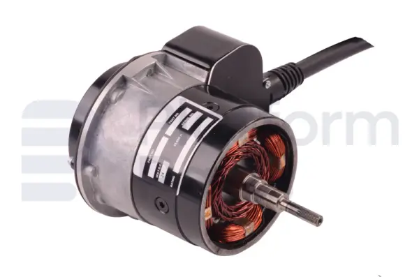 Drive motor, electric
