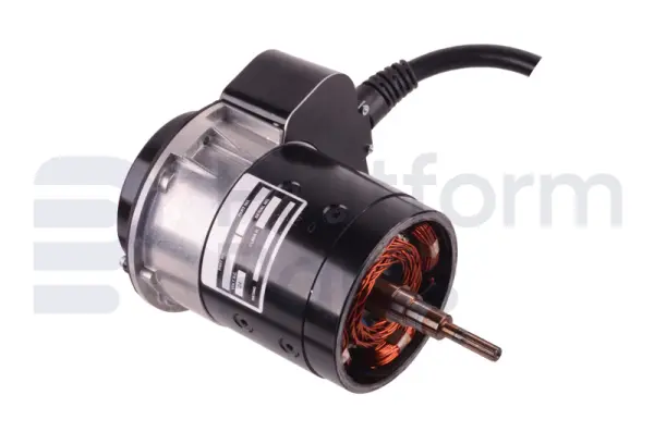 Drive motor, electric