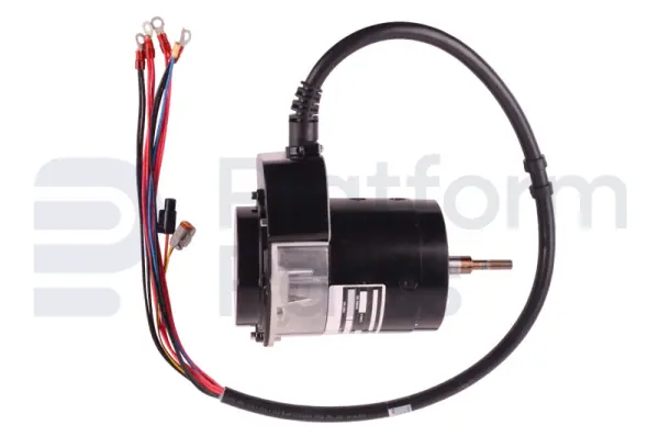 Drive motor, electric