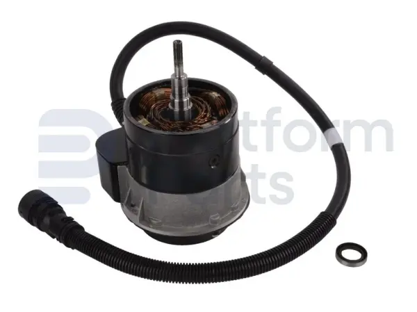 Drive motor, electric