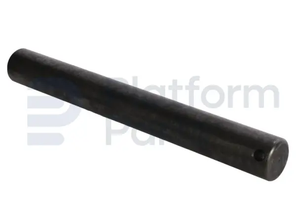 Pin