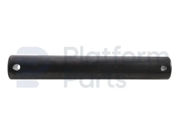 Pin