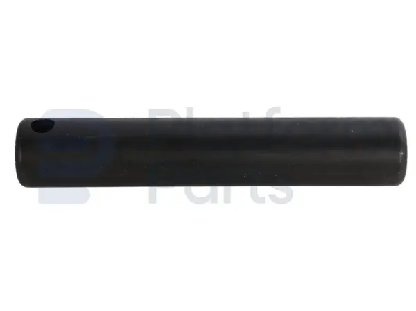 Pin