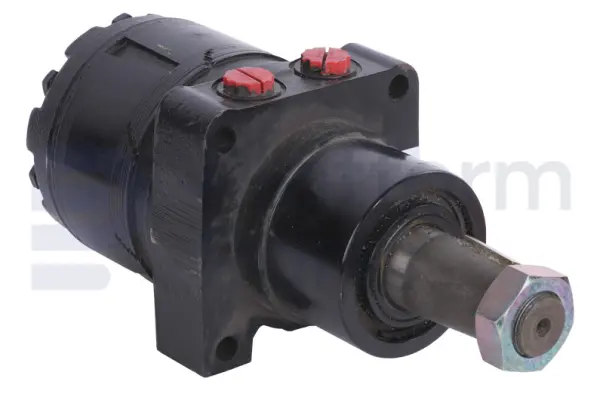 Drive motor, hydraulic