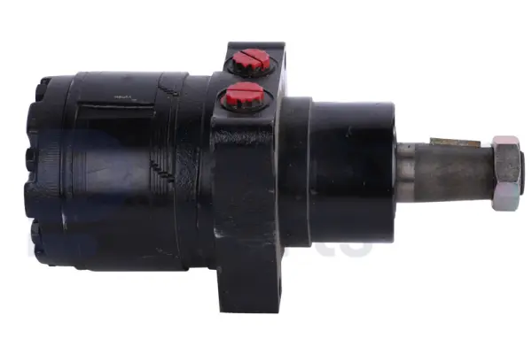 Drive motor, hydraulic