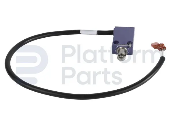 Limit switch