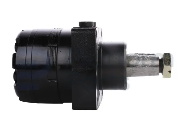Drive motor, hydraulic