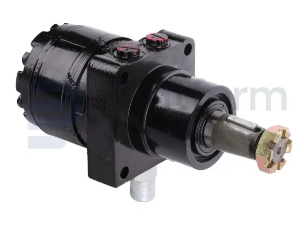 Drive motor, hydraulic