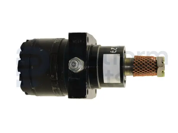 Drive motor, hydraulic