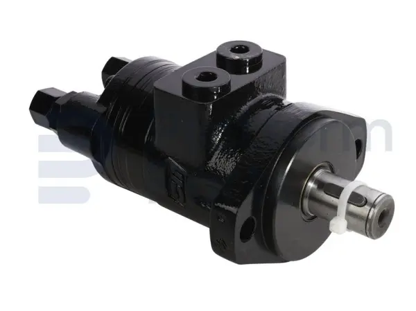 Drive motor, hydraulic