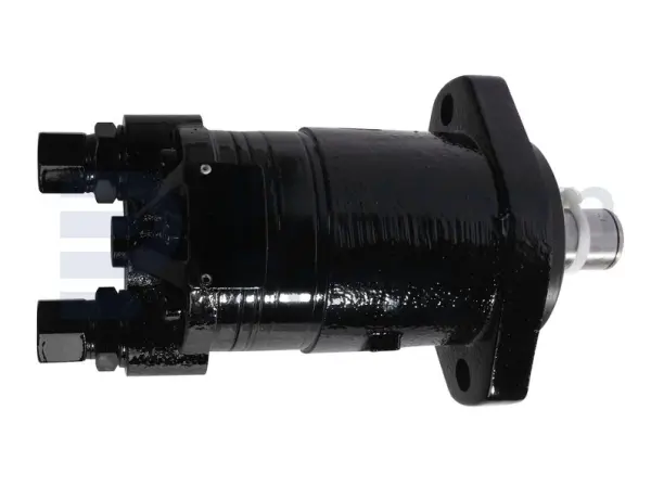 Drive motor, hydraulic