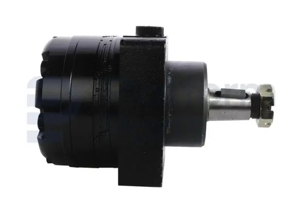 Drive motor, hydraulic