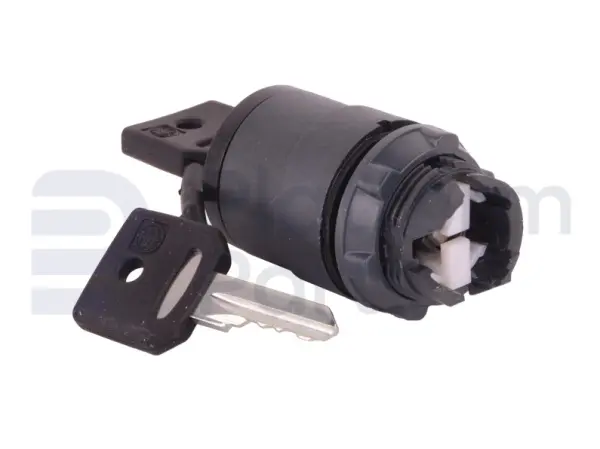 Switch, key, 3P, 2P maintained+1P spring return left, key removal right