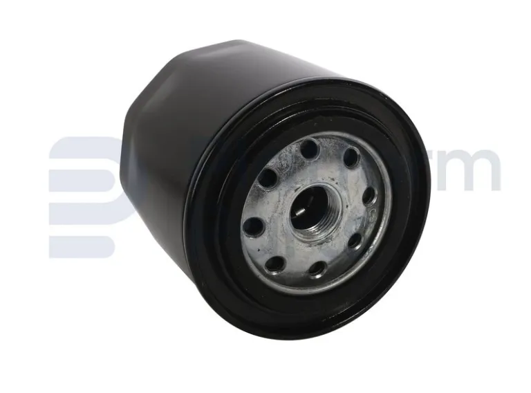 Haulotte - Oil filter - FO-4440939