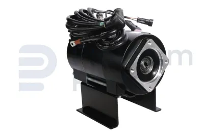 Dingli - Electric motor - DL-00008010