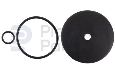 Haulotte - Fuel filter - HA-0004231024