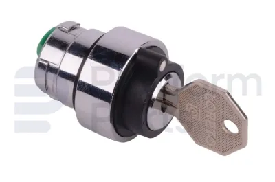 Schneider / Telemecanique - Switch, key - ZB2BG9